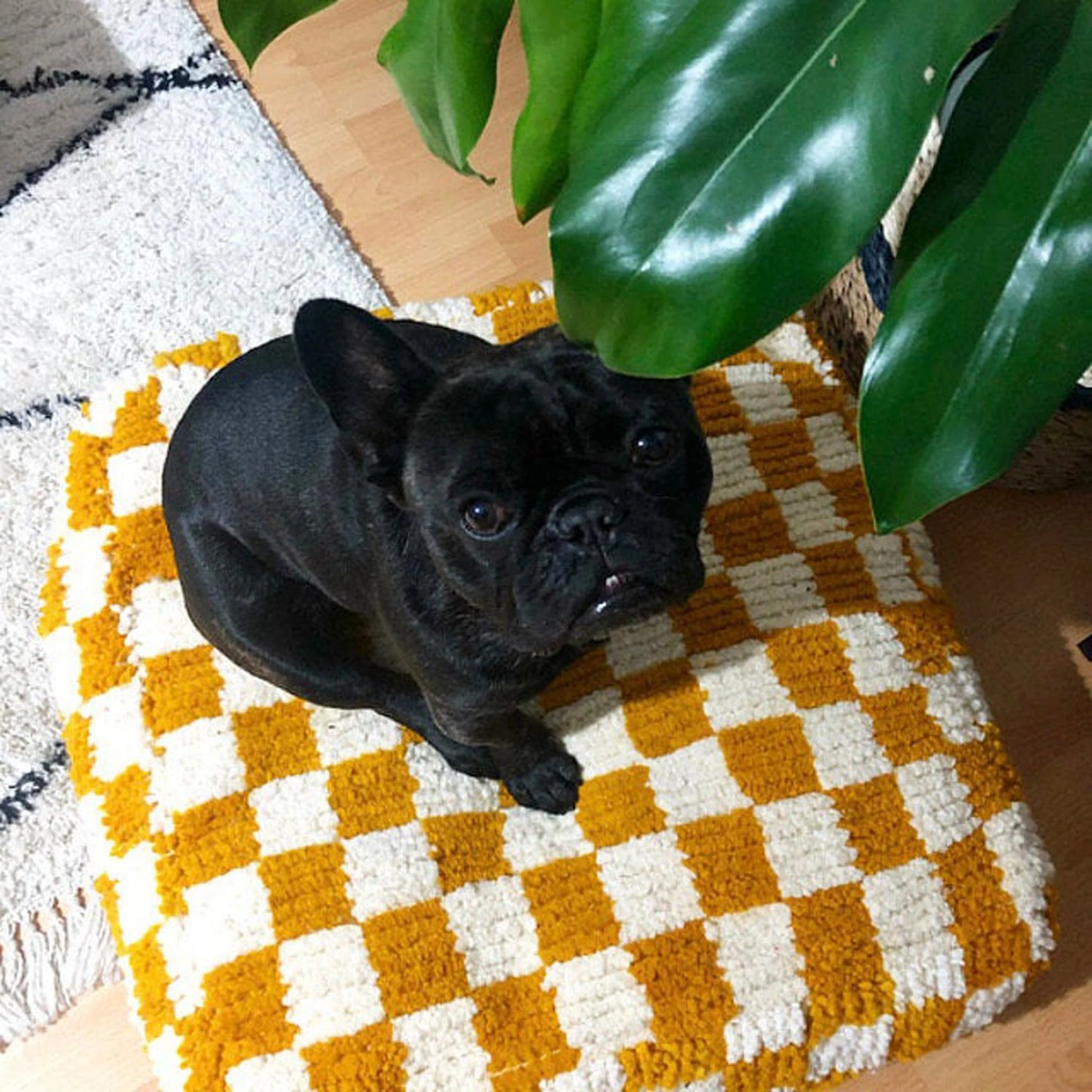 Checkered Poufs